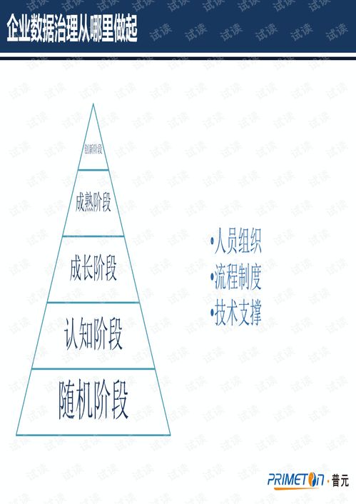 微服務架構(gòu)下的數(shù)據(jù)治理 構(gòu)建高效數(shù)據(jù)處理服務的關(guān)鍵路徑